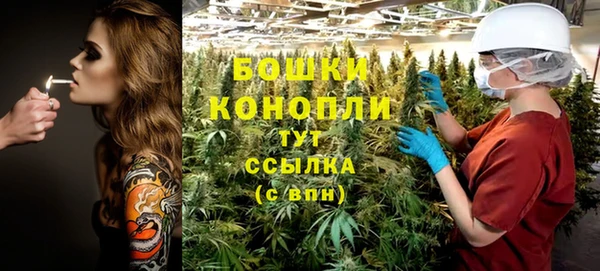 спайс Баксан