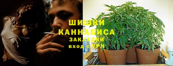 прущие крисы Балахна