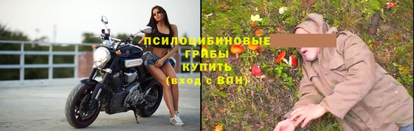 прущие крисы Балахна