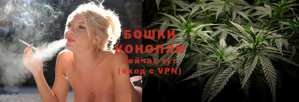 спайс Баксан