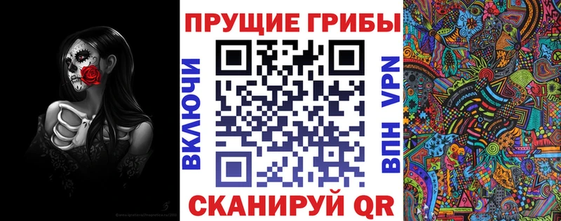 как найти закладки  Городище  Галлюциногенные грибы GOLDEN TEACHER 